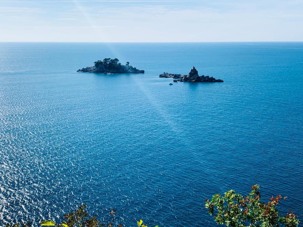 Best View Apartment Petrovac Εξωτερικό φωτογραφία