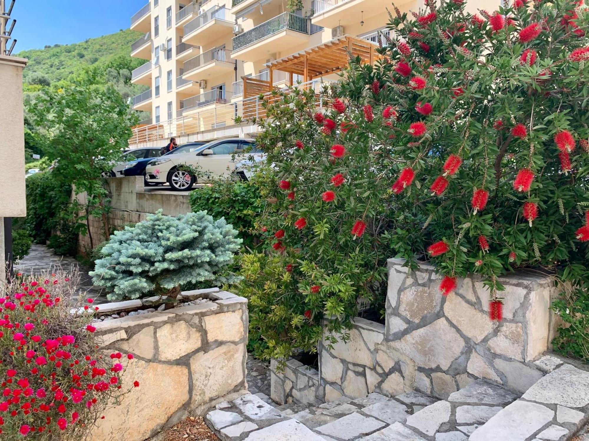 Best View Apartment Petrovac Εξωτερικό φωτογραφία